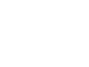 Bluesound Logo White png