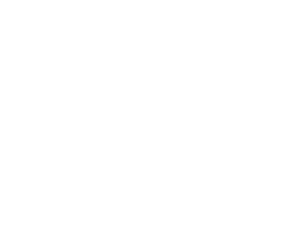 Dali Logo White png