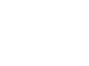 LG Logo White png