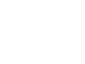 NAD Logo White png